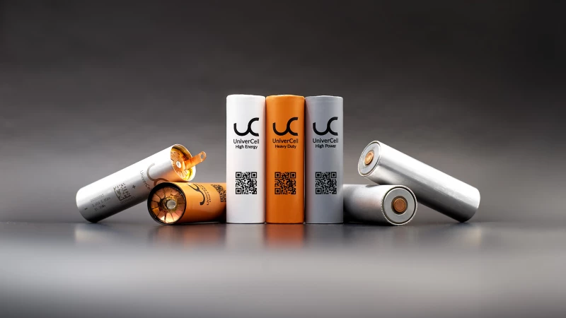 Bild: Eine Zelle – Unbegrenzte Möglichkeiten